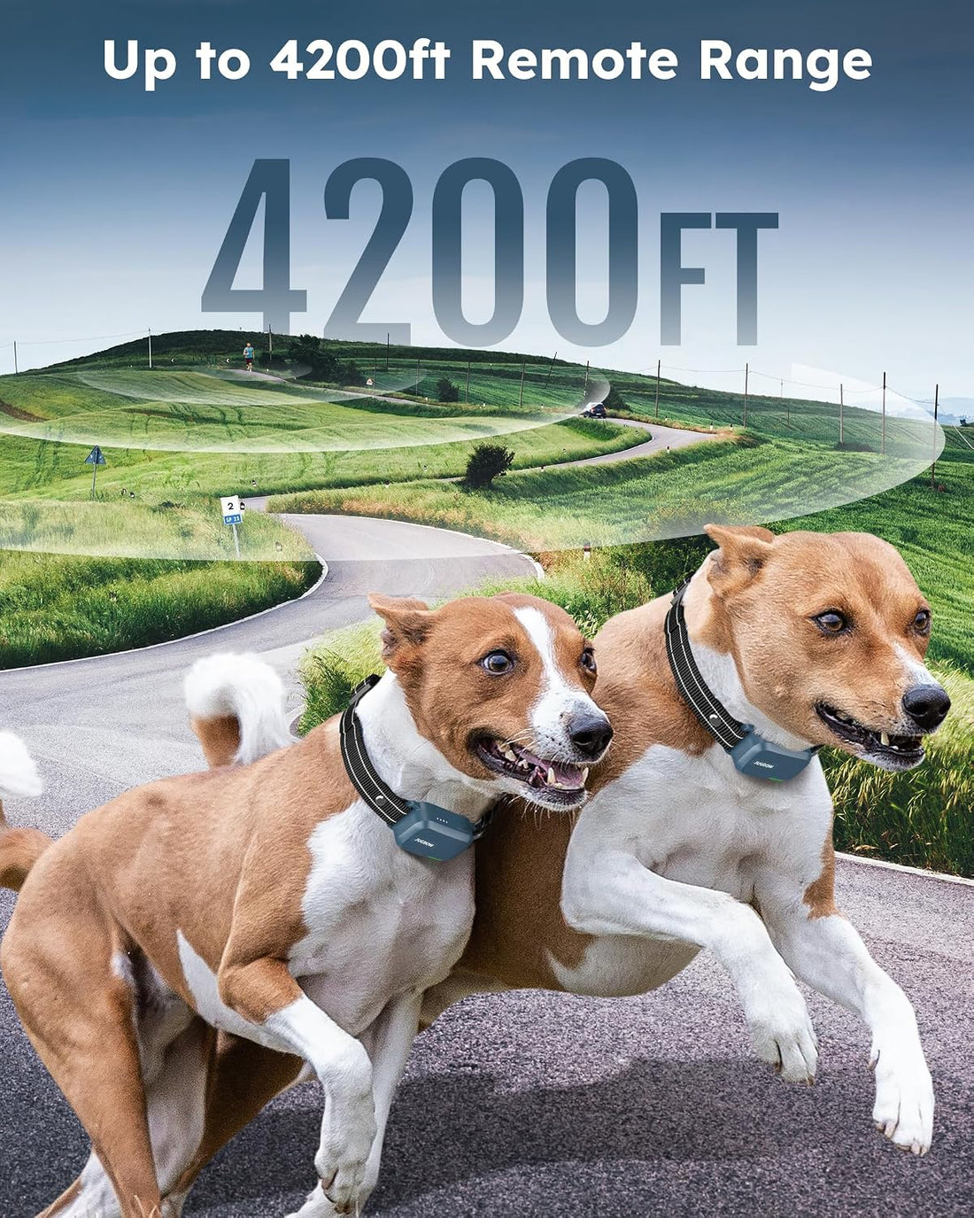 Training Collar for 2 Dogs, 4200FT Dog Shock Collar with Remote