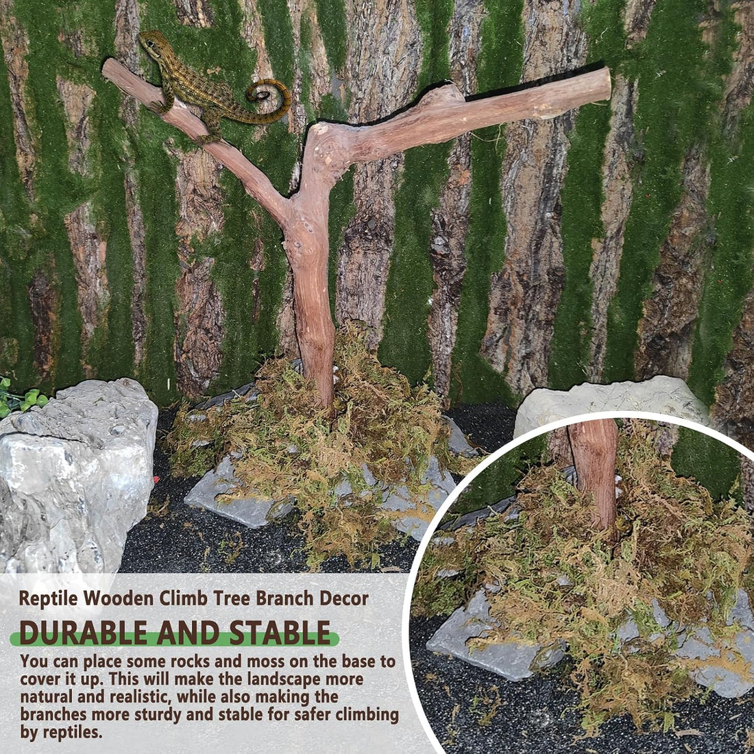 BNOSDM Reptile Grapevine Wood Lizard Natural Wood Climb Tree Branch