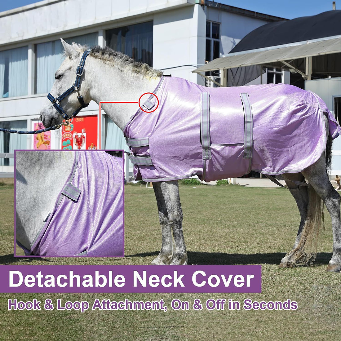 LEAFOREST Miniature Pony Horse Fly Sheet
