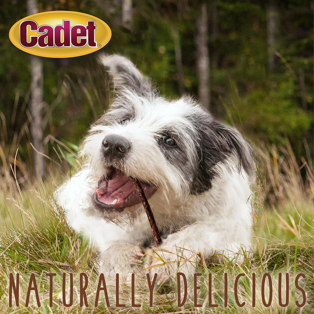 Cadet Premium Grade Beef Hide for Dogs