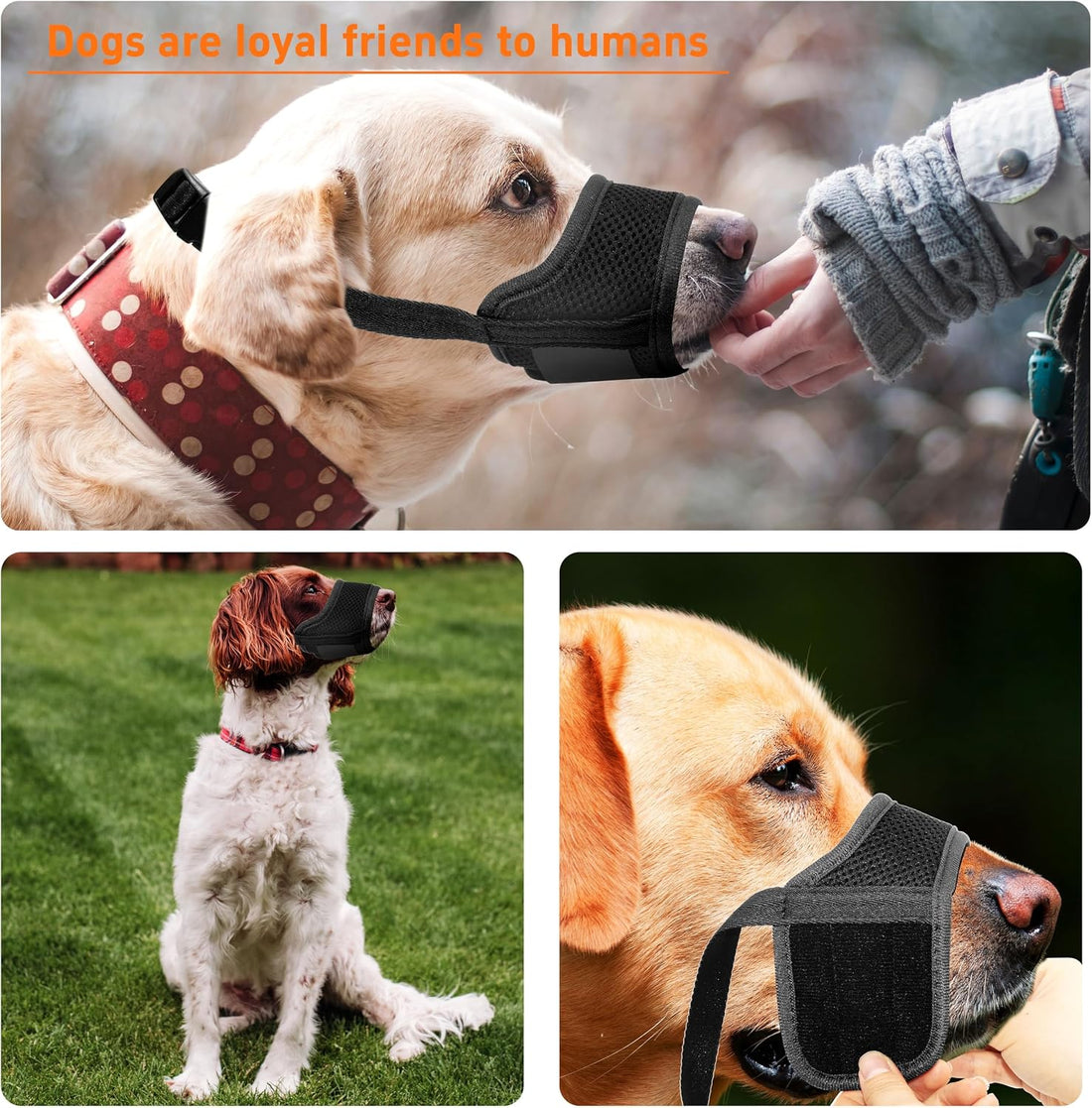 Seyezo Dog Muzzle, Breathable Nylon for Small Medium Large Dogs, Black