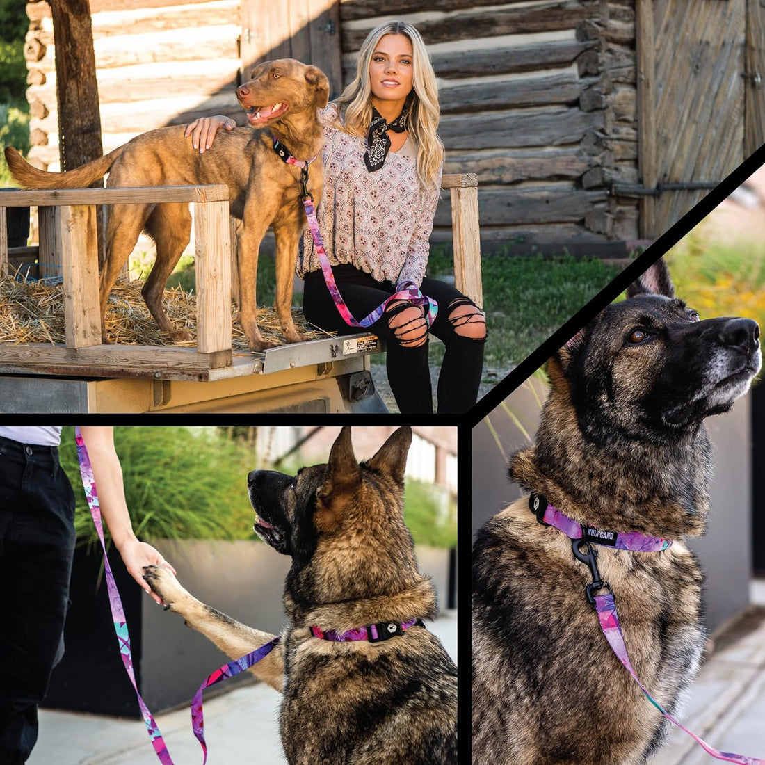 Wolfgang Venture Dog Harness Daydream Print Large