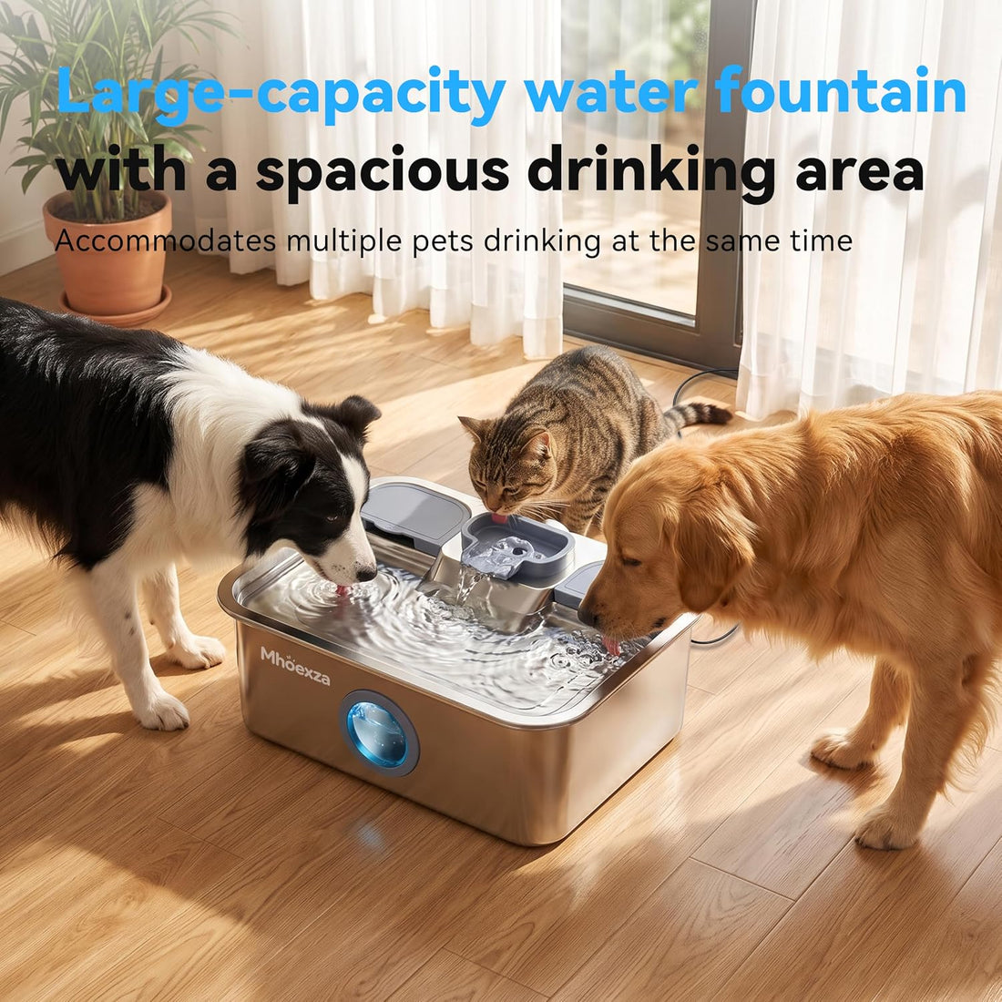 16L/541oz Stainless Dog Water Fountain with Dual‑Set Multi‑Layer