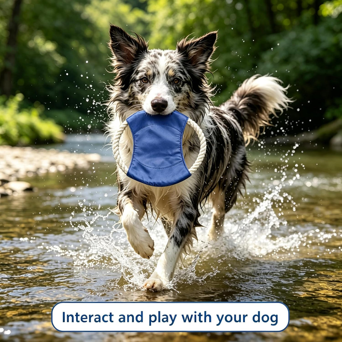 5 Pack Canvas Dog Flying Disc