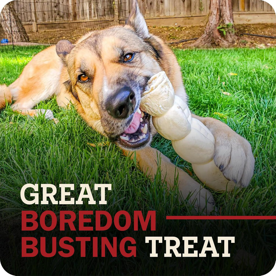 Redbarn Large Beef Cheek Rolls 100% Natural, Long Lasting Dog Chew