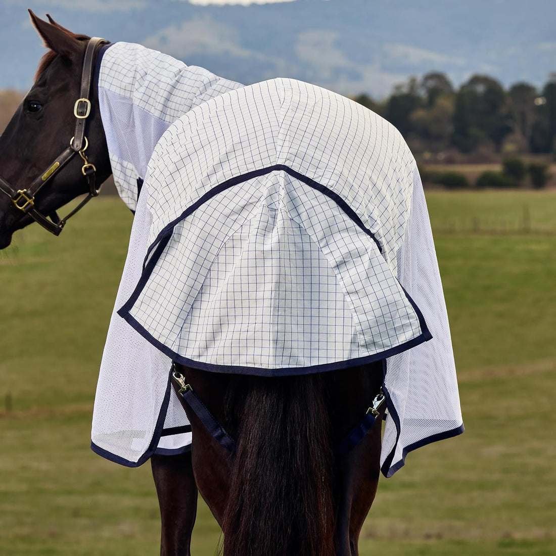 WeatherBeeta Airstream Detach-A-Neck, White/Navy, 81"