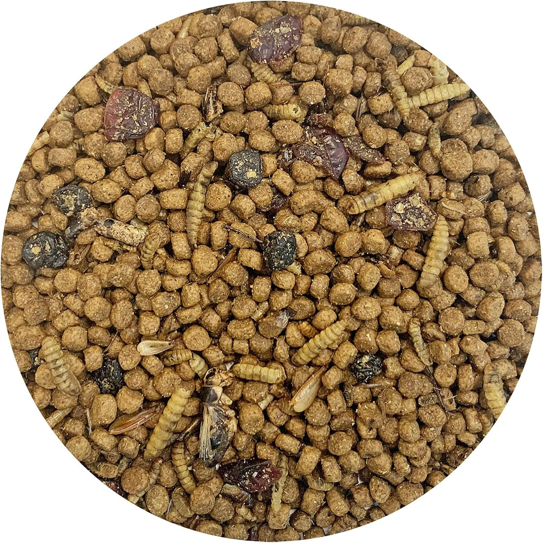 Berries & Bugs 3 lb. - All Natural High Protein High Fiber