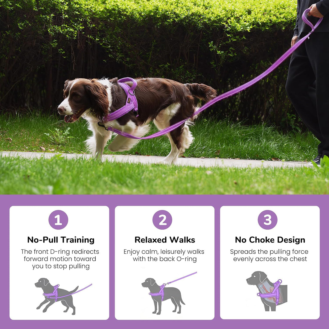 Didog No Pull Dog Harness for Small Dogs, Soft Flannel Padded, Purple