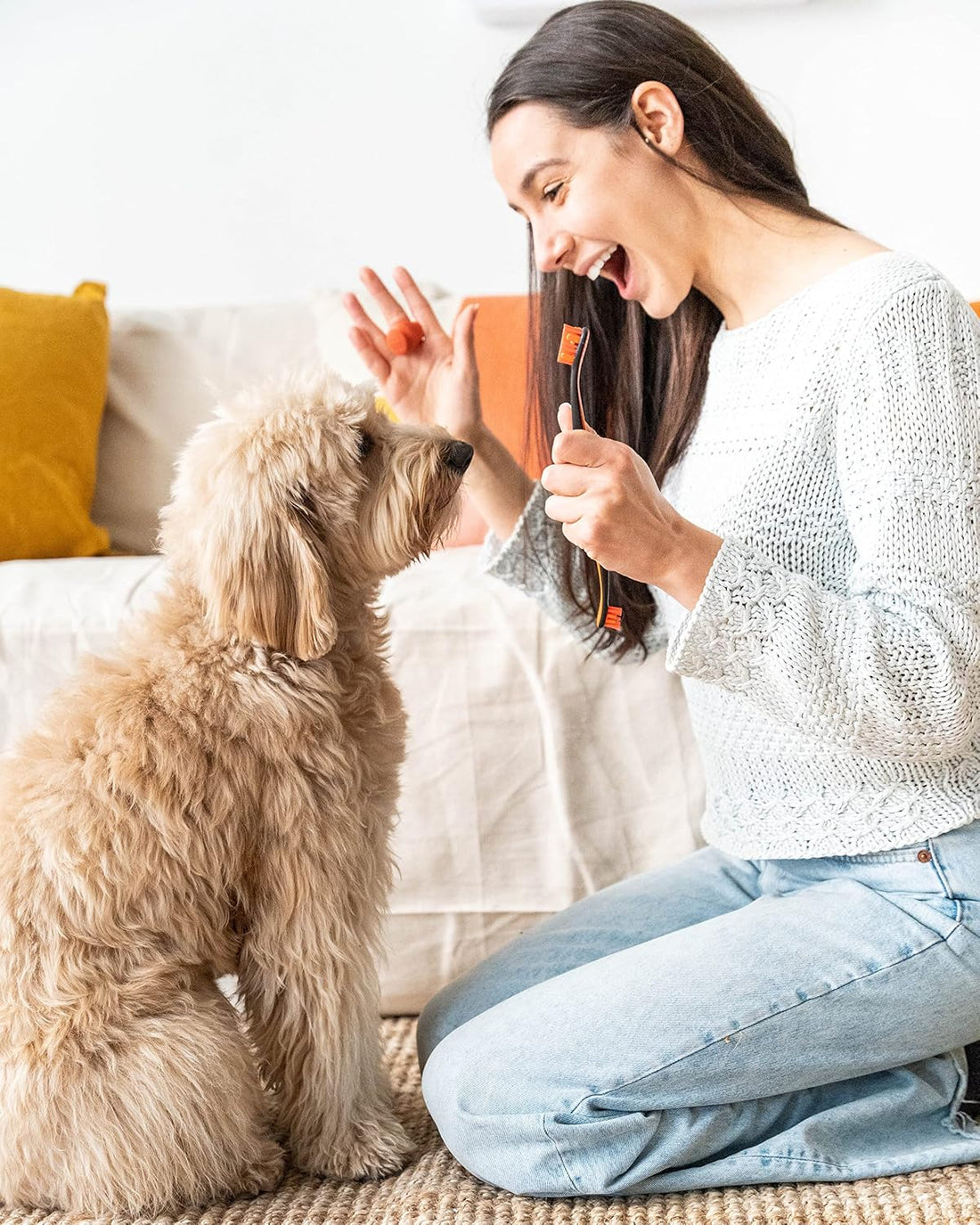 Paw Ready from Doggy Breath to Doggy Fresh Dog Dental Care Enzymatic