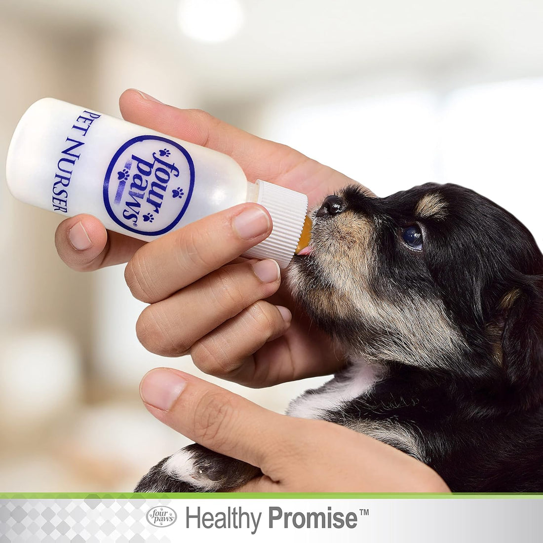 Four Paws Pet Nursing Kit, Feeding Bottle and Brush for Kittens