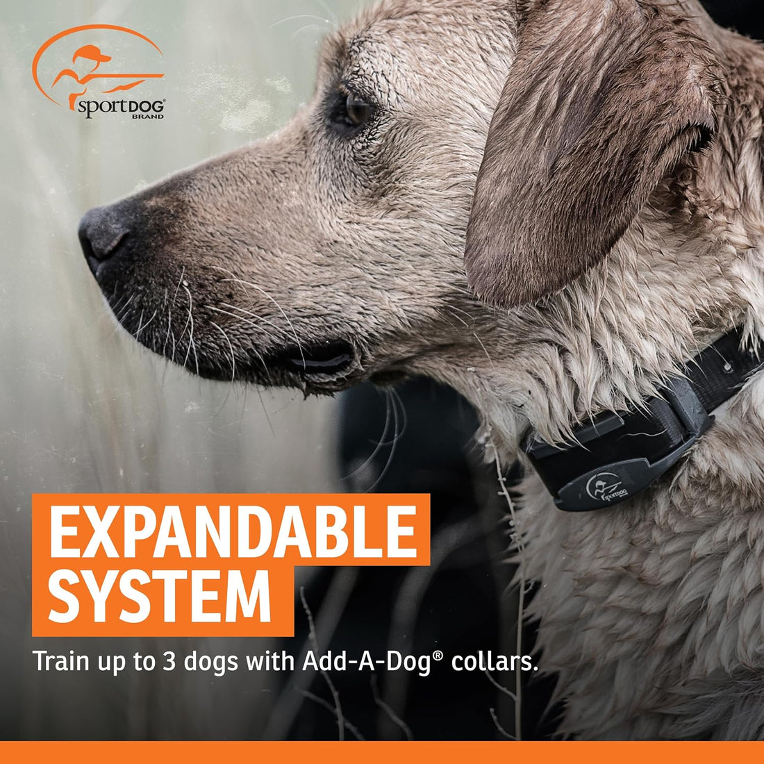 SportDOG SportHunter 825X Remote Dog Trainer, 1/2 Mile Range