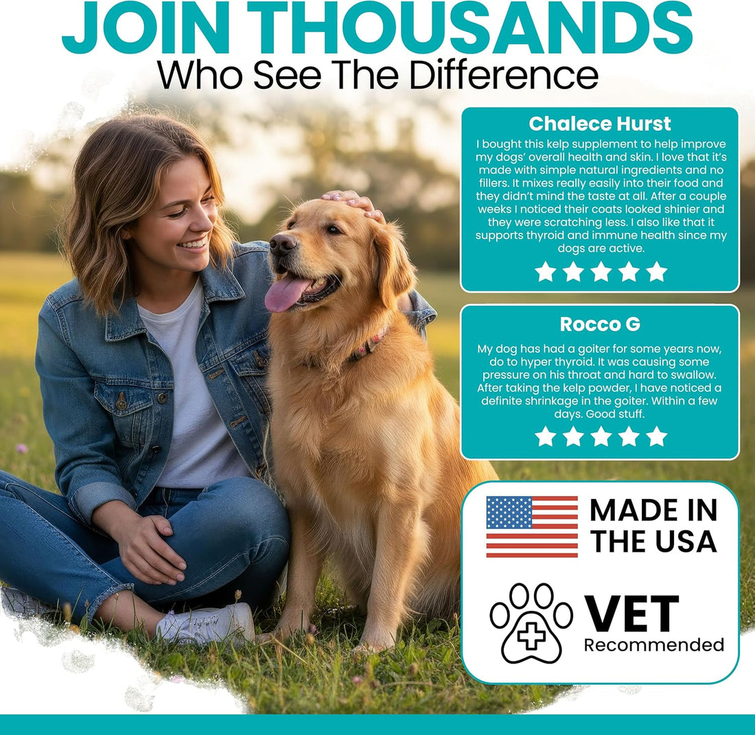 Organic Kelp Powder for Dogs