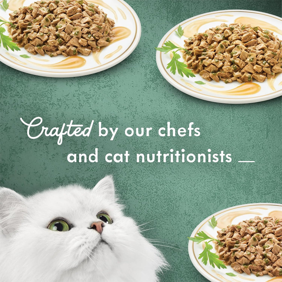 Purina Fancy Feast Wet Cat Food Medleys Florentine Wet Cat Food