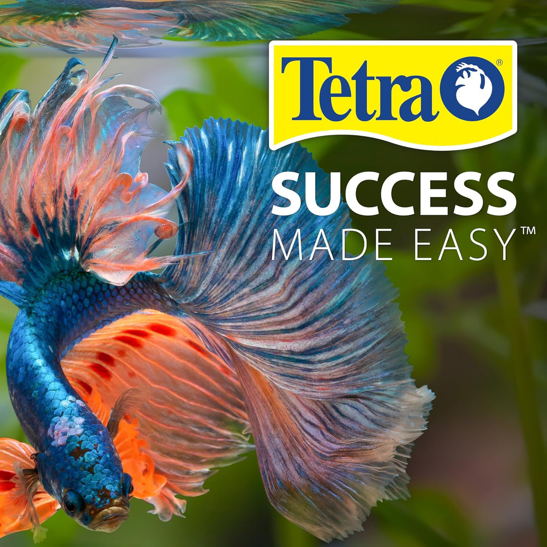 Tetra Ick Guard Conditioning Remedy for Fish, 8 Count