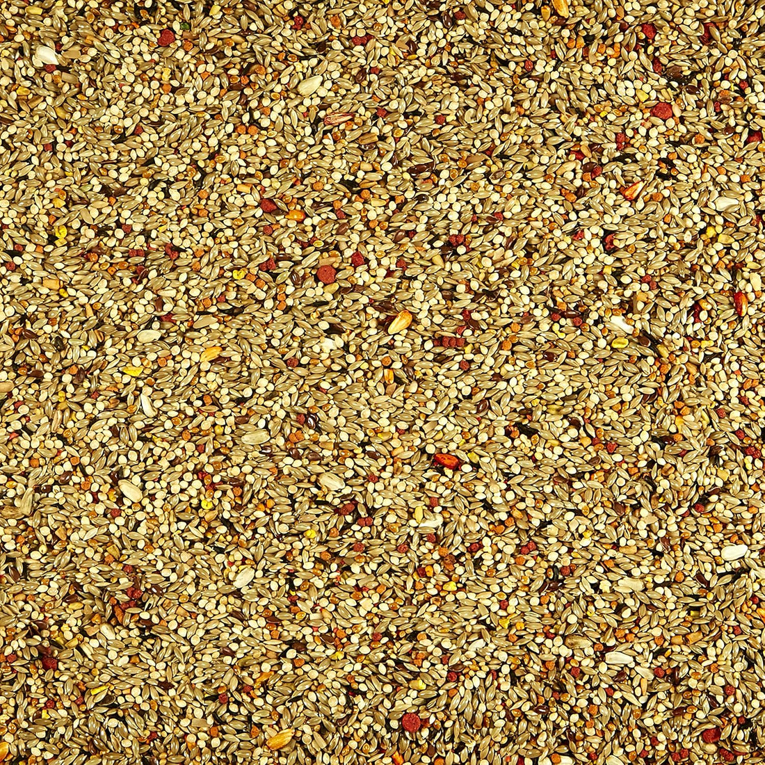Kaytee Orange Flavored Treat -- Parakeet 10 oz