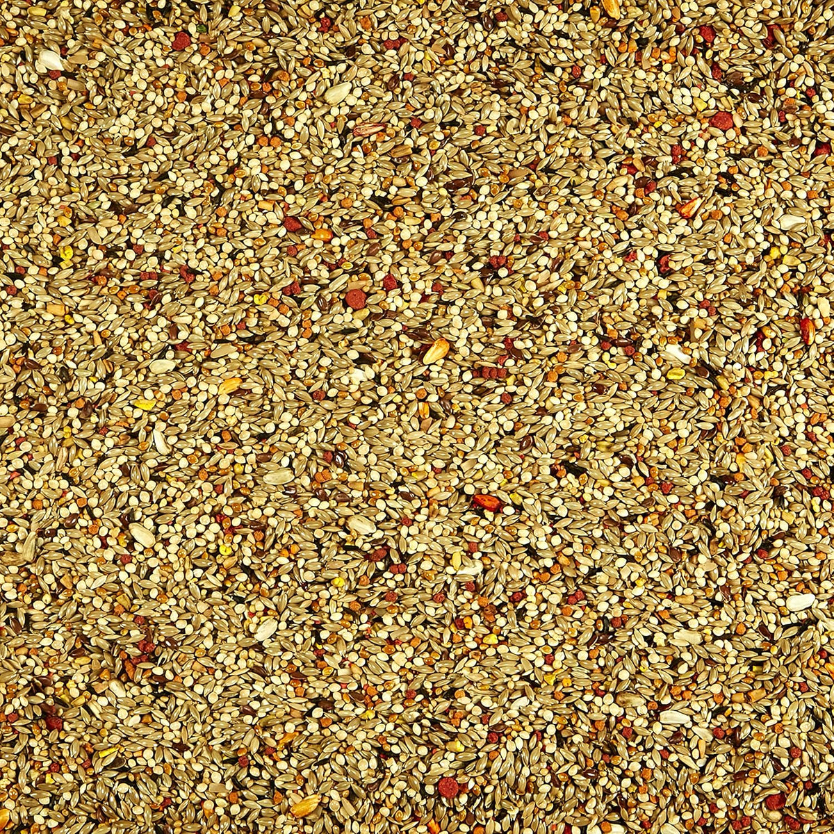 Kaytee Orange Flavored Treat -- Parakeet 10 oz