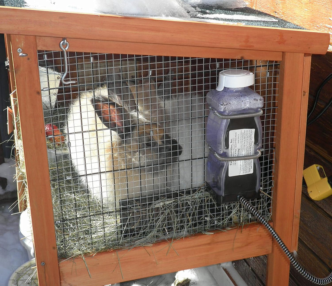 Farm Innovators Heated Water Bottle for Rabbits, 20-Watt