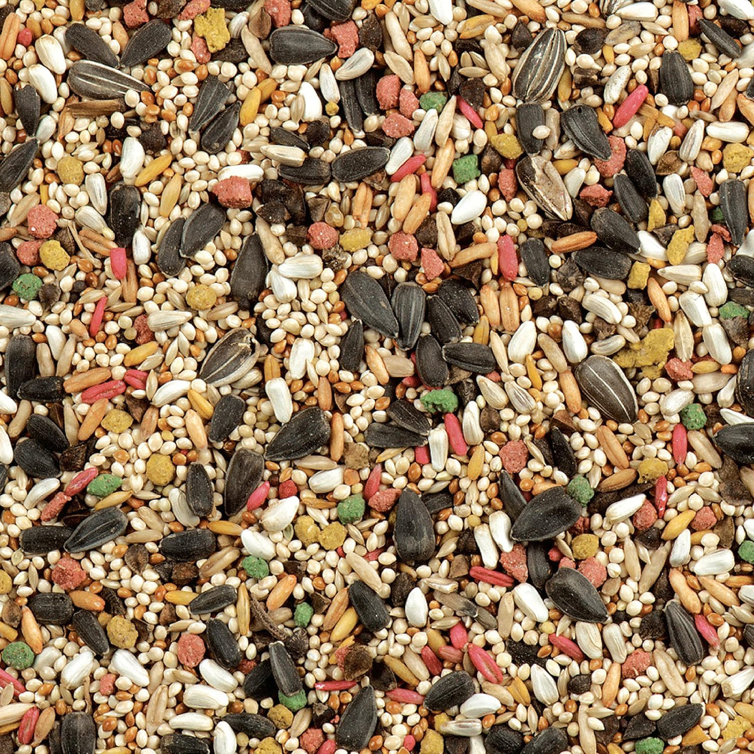 Wild Harvest Daily Blend Bird Food for Cockatiels, 2 lbs.