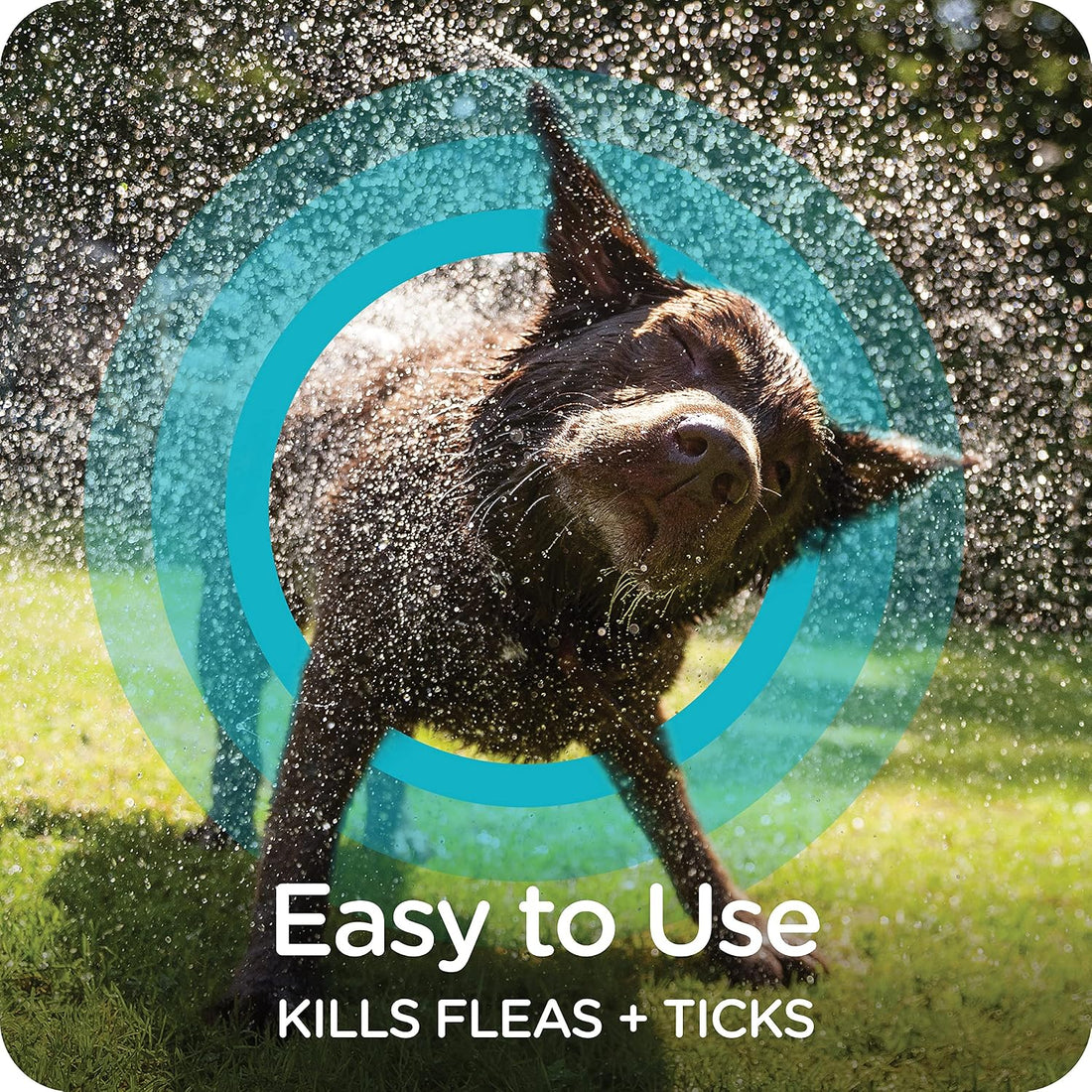 Sergeant's Guardian Flea & Tick Shampoo Dogs, Kills Eggs 30 Days, 18oz