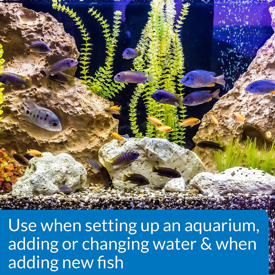 API Quick Start Freshwater & Saltwater Aquarium Nitrifying Bacteria