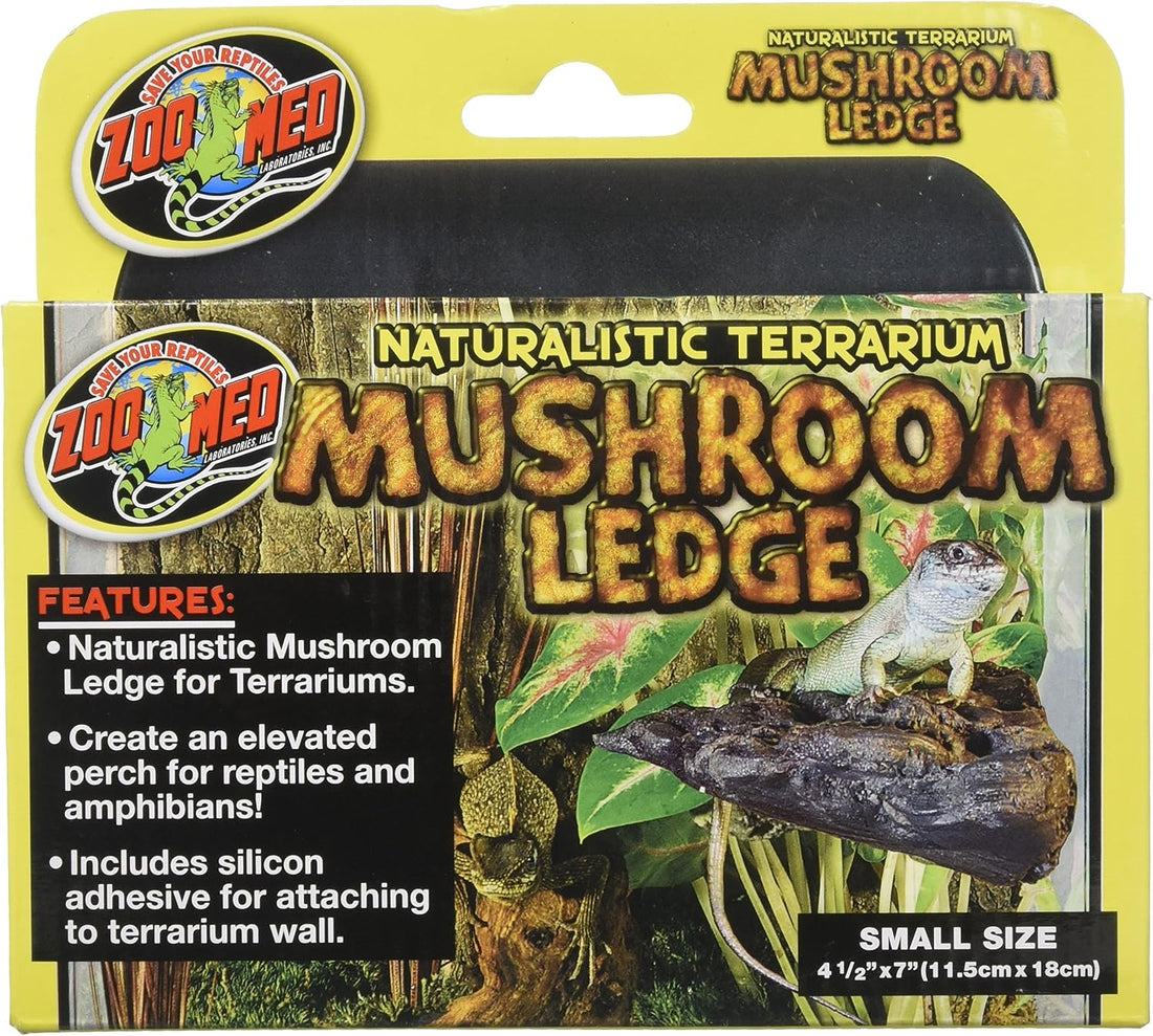 Naturalistic Terrarium Mushroom Ledge