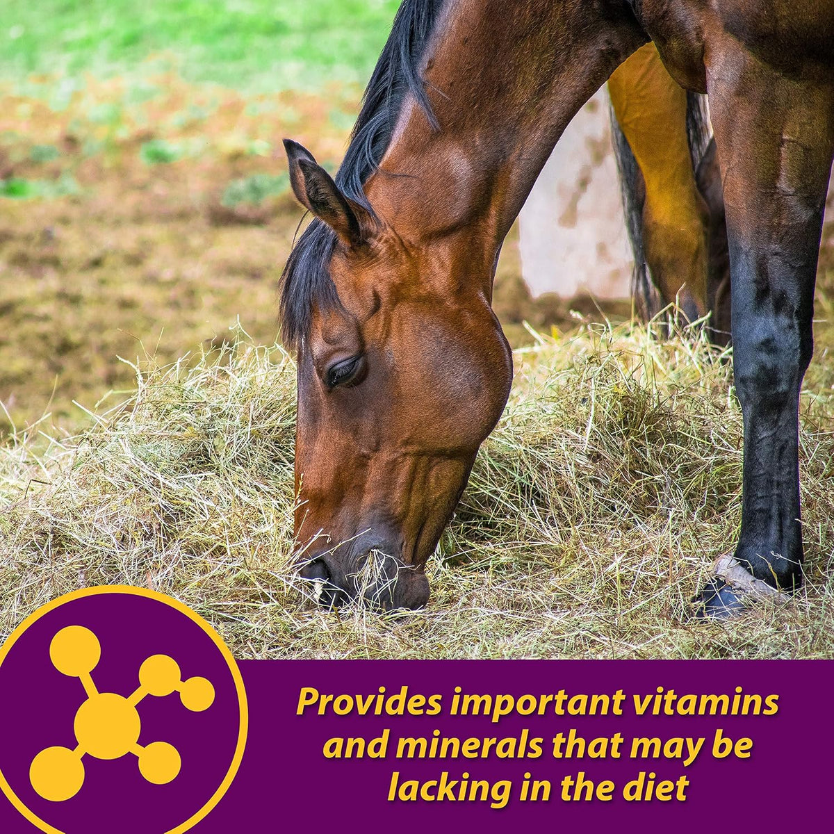 Farnam Horse Health Red Cell