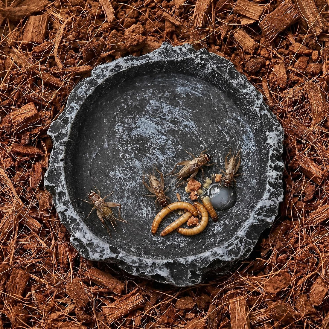 2Pcs Reptile Water Bowl, Feeding Dish for Leopard Gecko Lizard