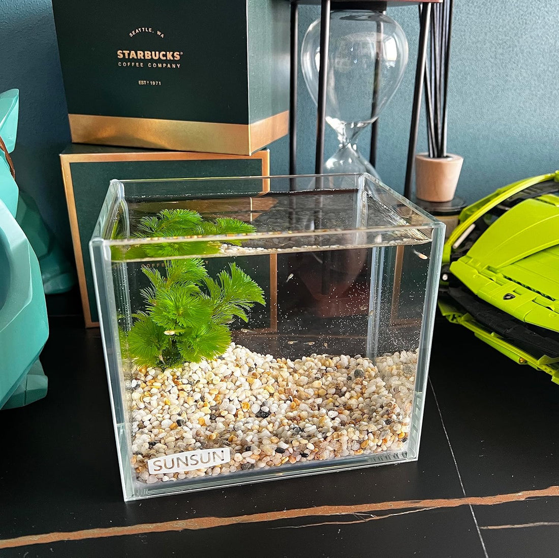 AWXZOM Small Nano Tall Rimless Tank, Glass Fish Tank, Betta Tank