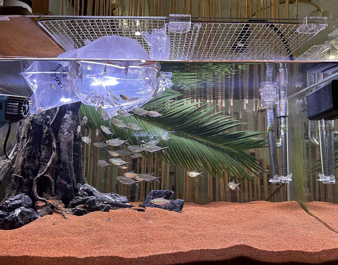 AWXZOM 11lb Natural South American Rainforest Sand, Aquarium red Sand
