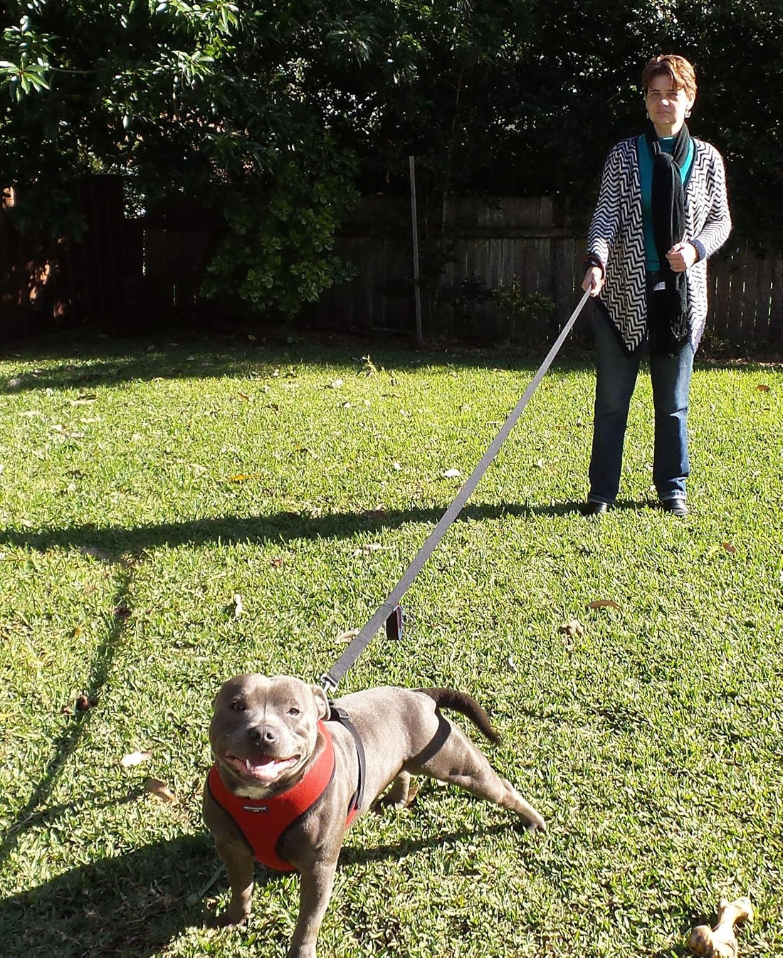 Primal Pet Gear Dog Leash 6ft Long,Traffic Padded Two Handle,Heavy
