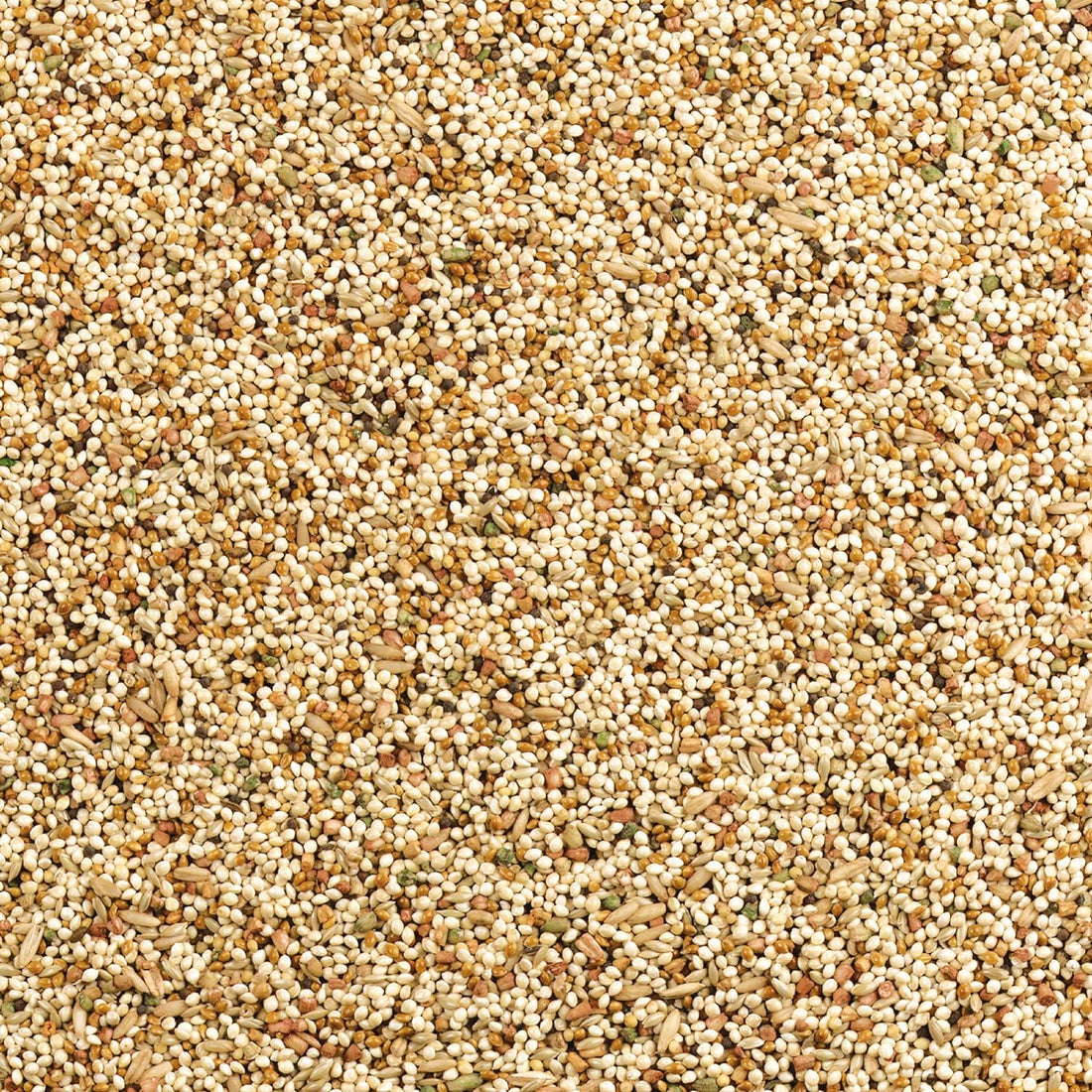 Wild Harvest Daily Blend Nutrition Diet for Parakeet