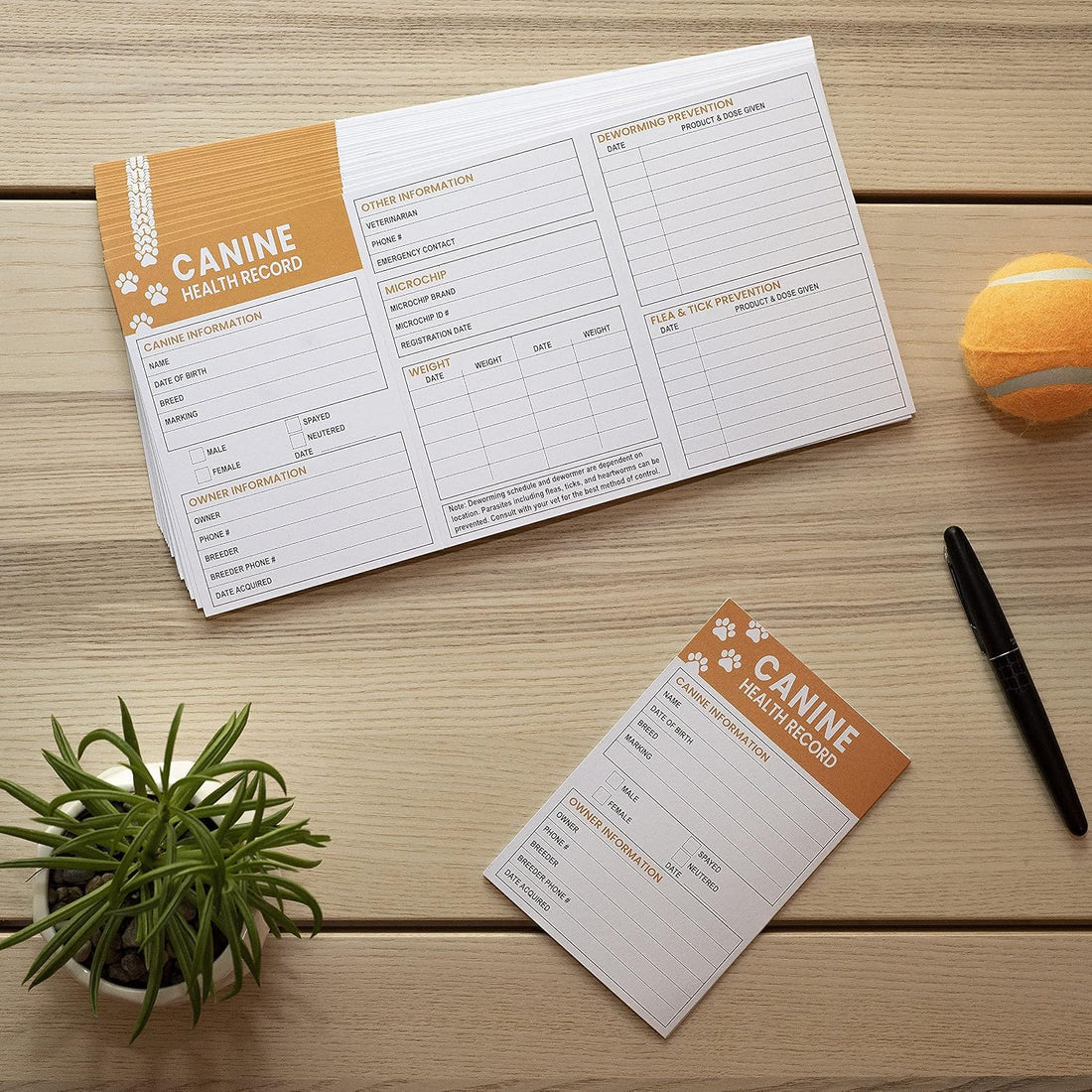Good|Harbor Pet Supplies | Premium Canine Health Record 6x4 Inch